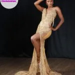 Prom Dress Forshe