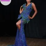 Prom Dress Forshe